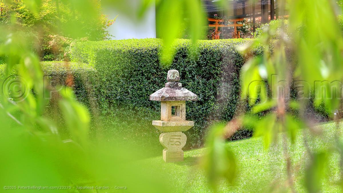 Peter Bellingham Photography Japanese Garden - Cowra
